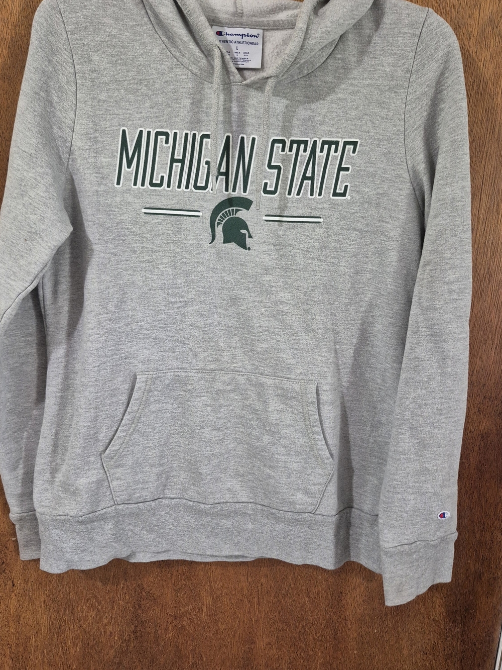 Champion Michigan State Gray Hoodie Sweatshirt